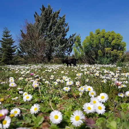 فندق مبيت وإفطار Domaine De Pelouaille - D'hotes
