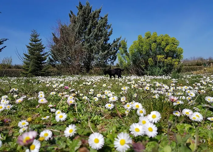 Bed & Breakfast Domaine De Pelouaille - D'hotes